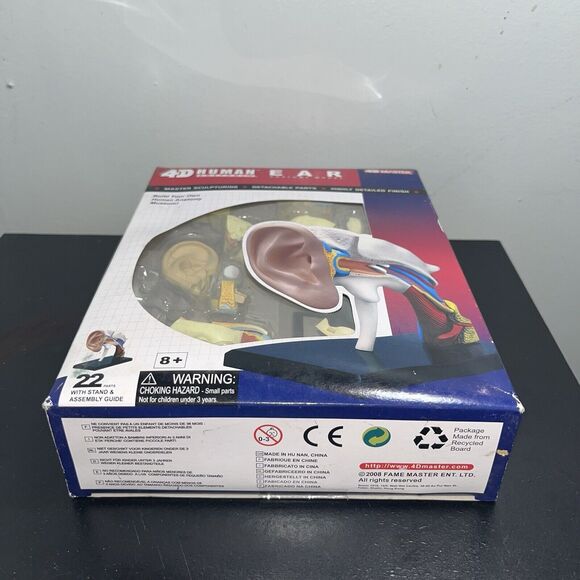 4D Human Ear Model Experiment Learn Science Discover Education Kit Anatomy - Picture 5 of 7